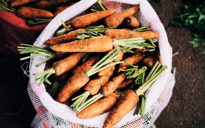 CONSUME ALIMENTOS ECOLÓGICOS