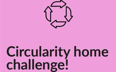 Circular Homes Challenge Ideas